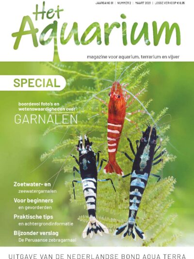 Special Garnalen  (2021)