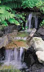 Waterval bij natuurgetrouwe koivijver