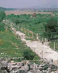Historische opgravingen in Efese, de biotoop van Mabuya aurata septemtaeniata