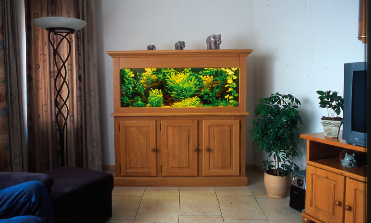 Modern aquarium, ‘marke Eigenbau’ Op deze manier kan het zowel aan het interieur als aan de wensen worden aangepast. De kastjes eronder bieden een zee van ruimte voor de elektrische installatie, filter en andere aan het aquarium verbonden zaken