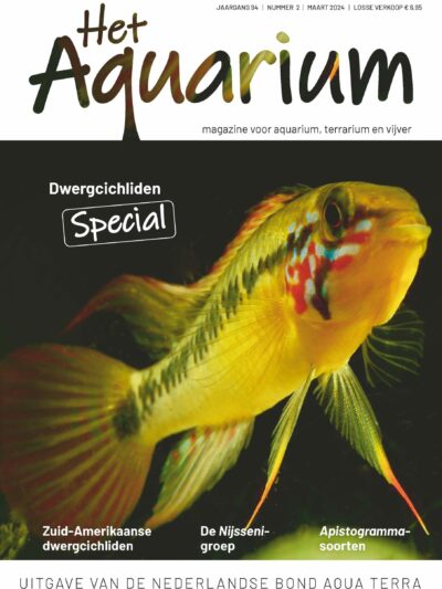 Special Dwergcichliden 2024