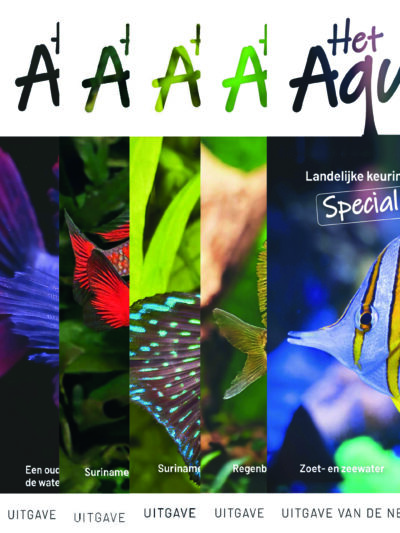 Complete jaargang 2024