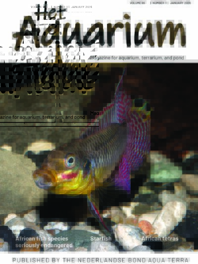 Digital Dutch Aquarium Magazine