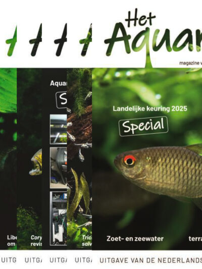 Complete jaargang 2025