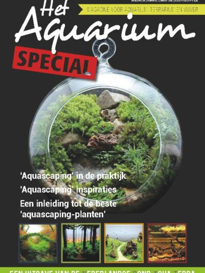 Special aquascaping 2019
